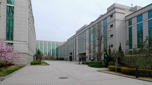 W020241121375670750566