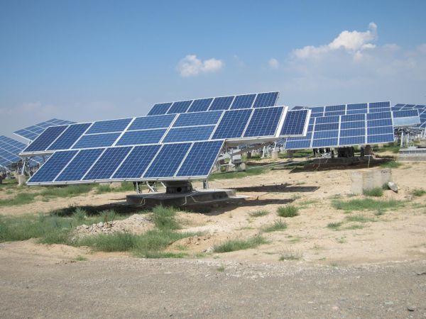 W020241121370130236294