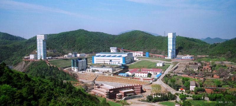 W020241121368832249915