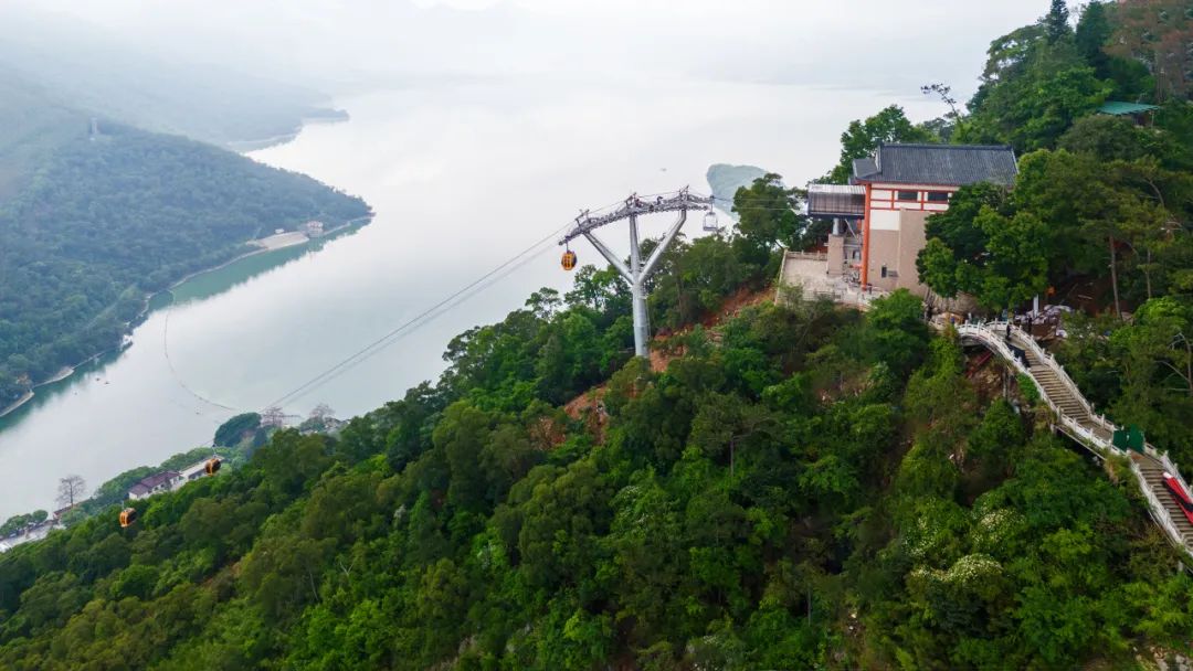 9001cc金沙以诚为本(中国集团)有限公司官网