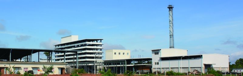 W020241119524829737604