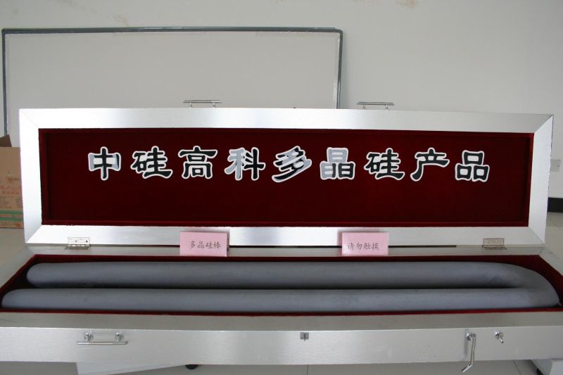 W020241119526081729080