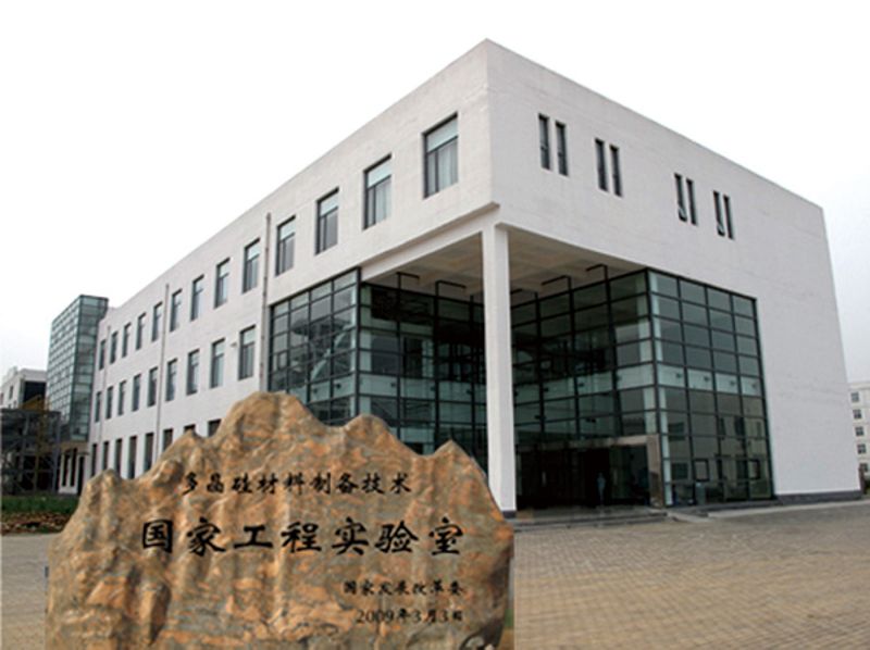 W020241119526081829642